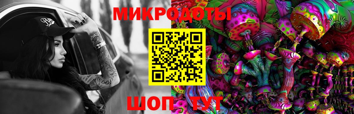 Галлюциногенные грибы Psilocybe  Вход с VPN  Псилоцибиновые грибы мицелий  Сергиев Посад 