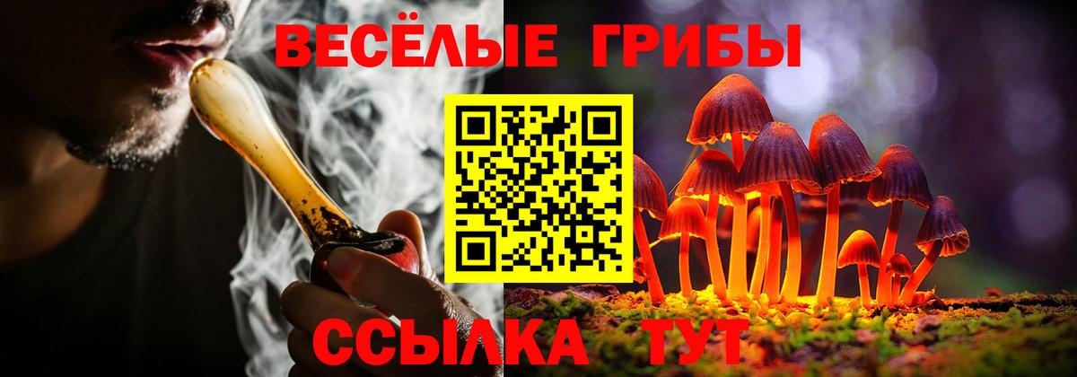 Сергиев Посад  Псилоцибиновые грибы ЛСД  Вход с VPN 